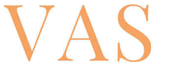 VAS - Voces de América del Sur